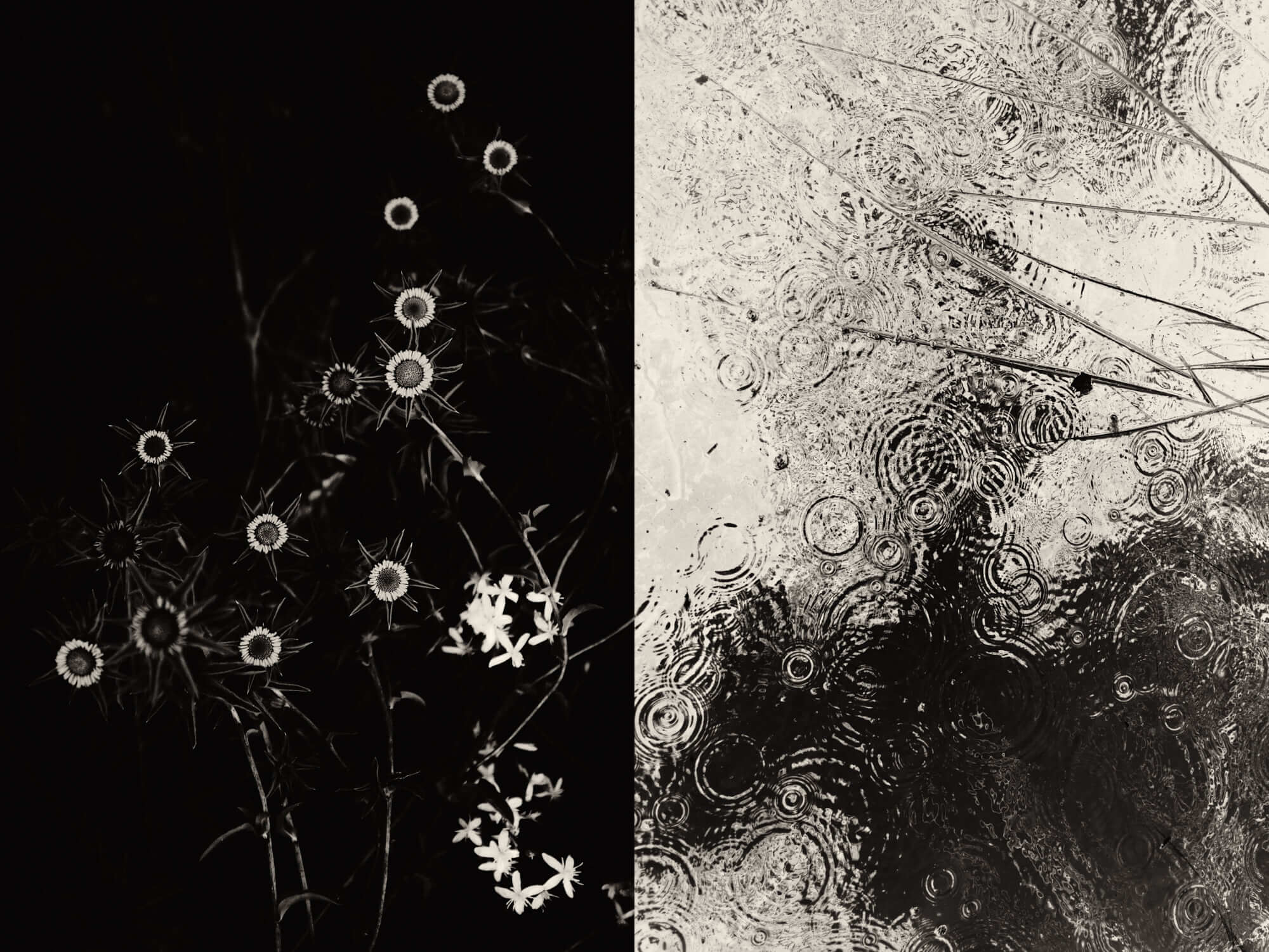 Photo of artwork